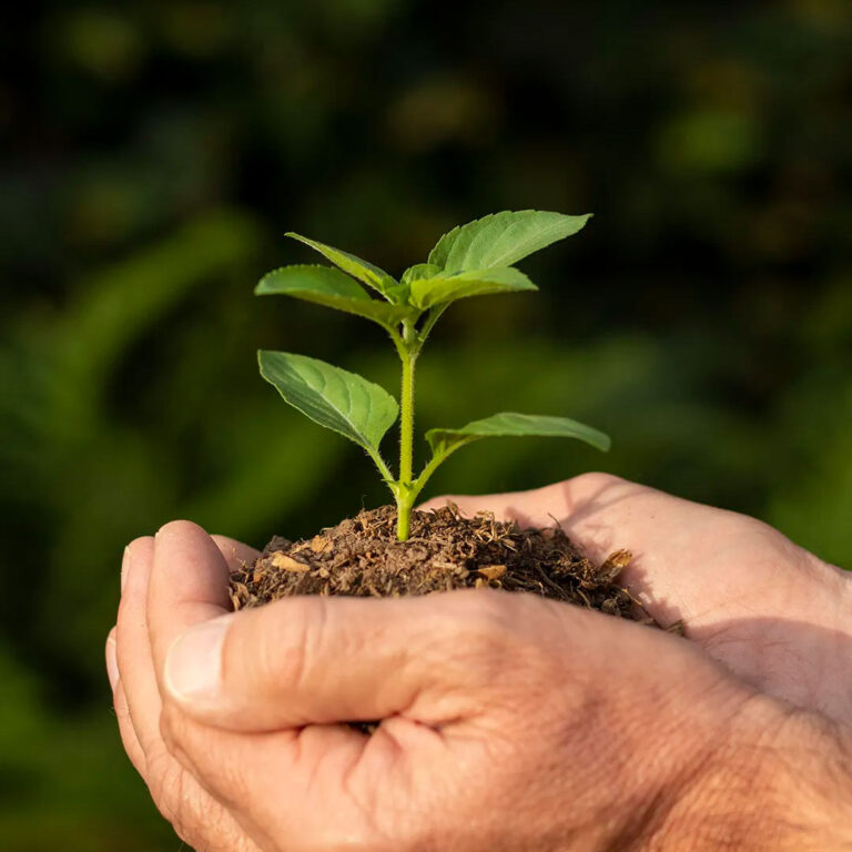 Tradução técnica para agronegócio e relatórios de sustentabilidade ESG.